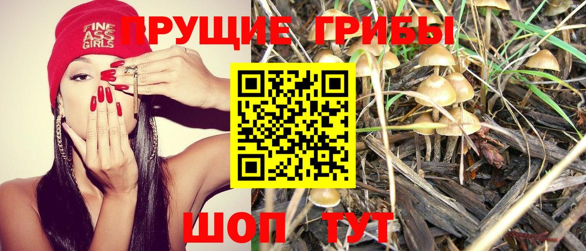 Галлюциногенные грибы Psilocybine cubensis  Галлюциногенные грибы GOLDEN TEACHER  Мирный  Вход с VPN 